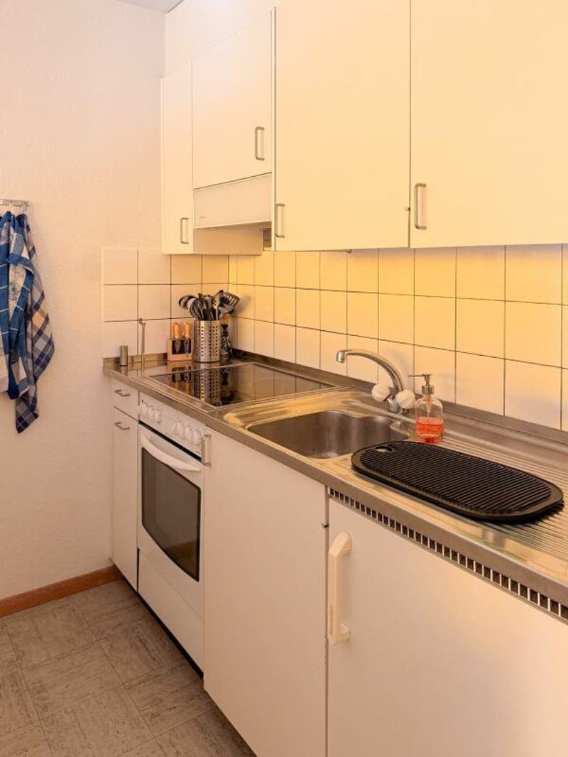 Mehrfamilienhaus im Marzili (11)