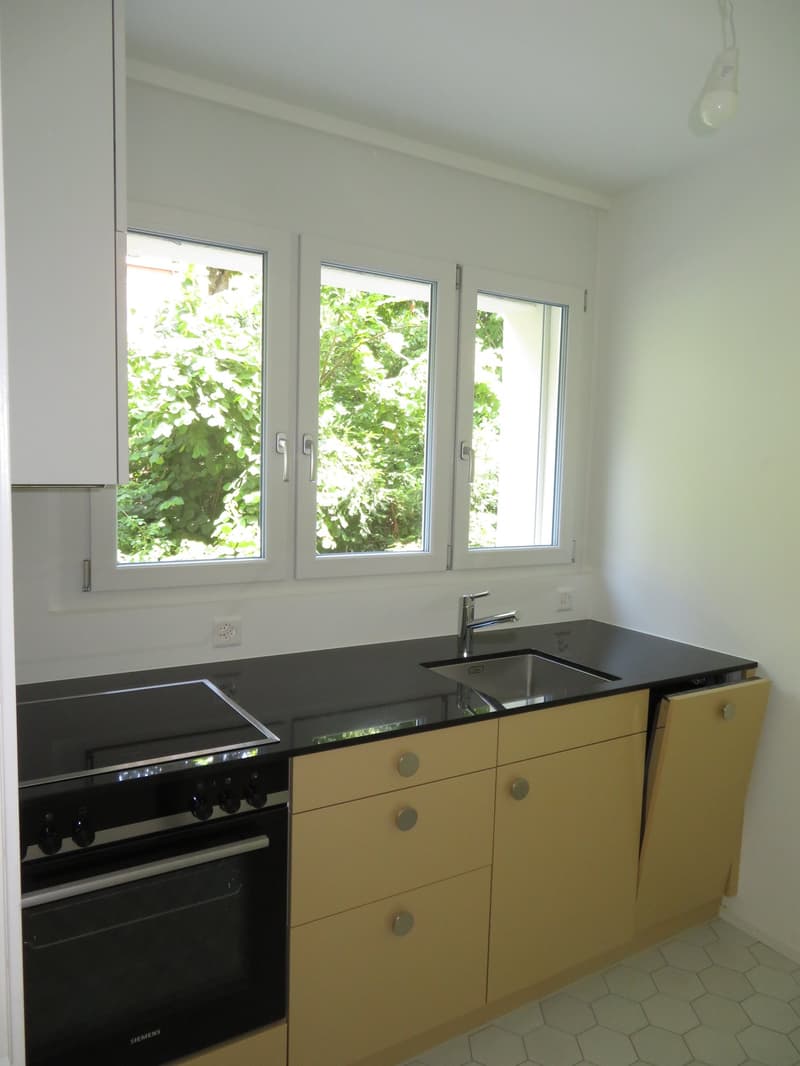 Appartement de 2 pièces fraîchement rénové à proximité de la gare de Papiermühle (3)
