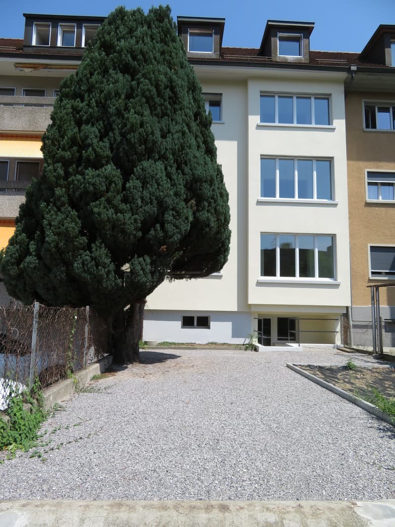 Appartement de 2 pièces fraîchement rénové à proximité de la gare de Papiermühle (2)