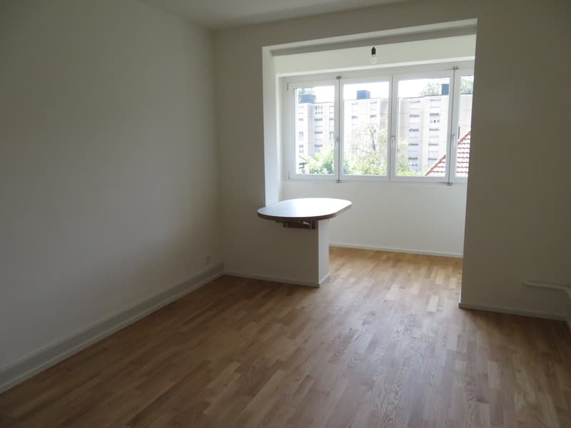 Appartement de 2 pièces fraîchement rénové à proximité de la gare de Papiermühle (7)