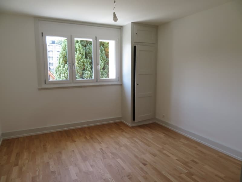 Appartement de 2 pièces fraîchement rénové à proximité de la gare de Papiermühle (5)
