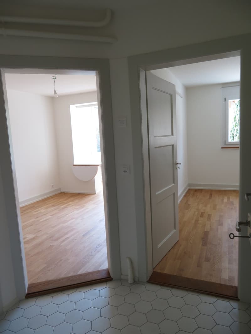 Appartement de 2 pièces fraîchement rénové à proximité de la gare de Papiermühle (4)