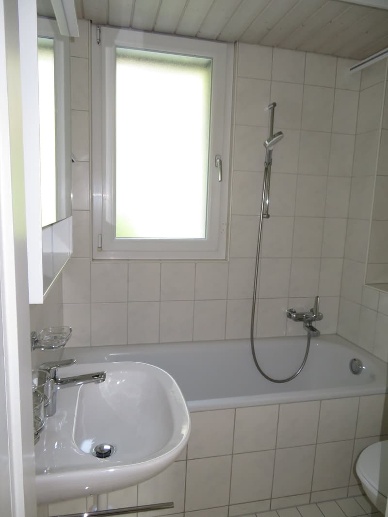 Appartement de 2 pièces fraîchement rénové à proximité de la gare de Papiermühle (8)