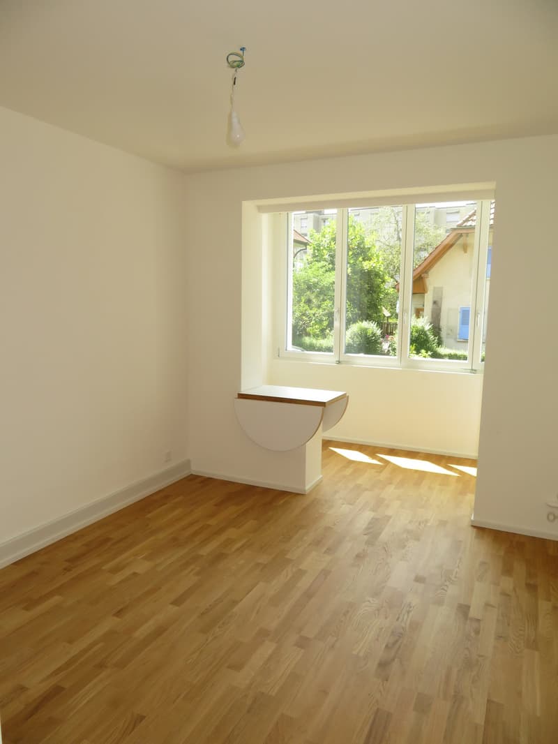 Appartement de 2 pièces fraîchement rénové à proximité de la gare de Papiermühle (6)