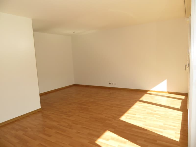 Charmant appartement 4.5 pièces à louer (3)