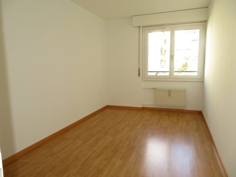 Charmant appartement 4.5 pièces à louer (5)