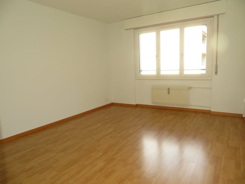 Charmant appartement 4.5 pièces à louer (4)