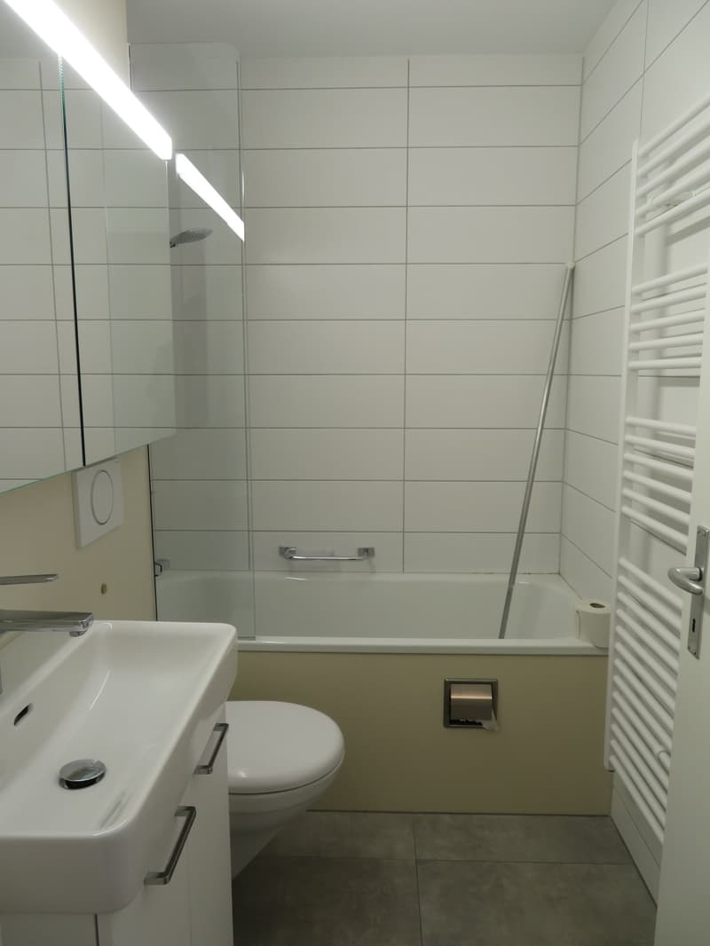 Charmant appartement 4.5 pièces à louer (11)