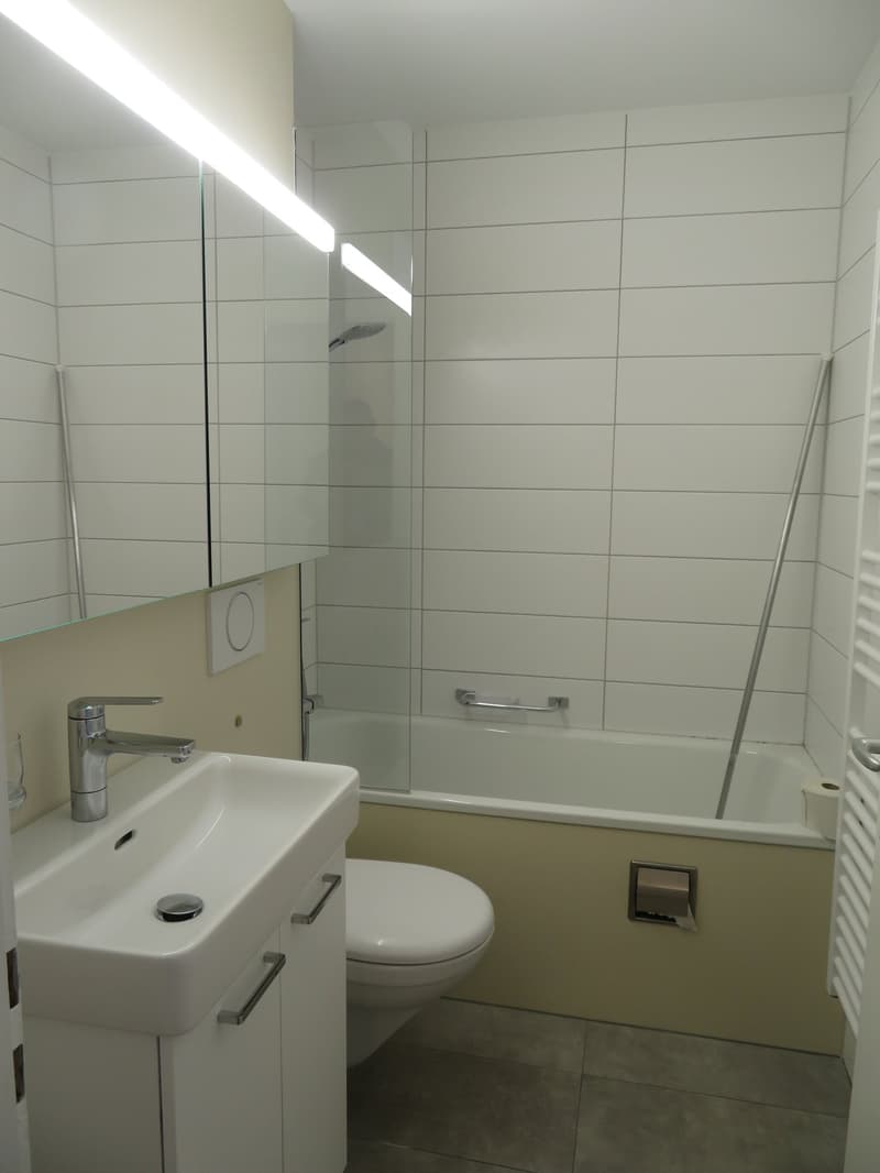 Charmant appartement 4.5 pièces à louer (10)