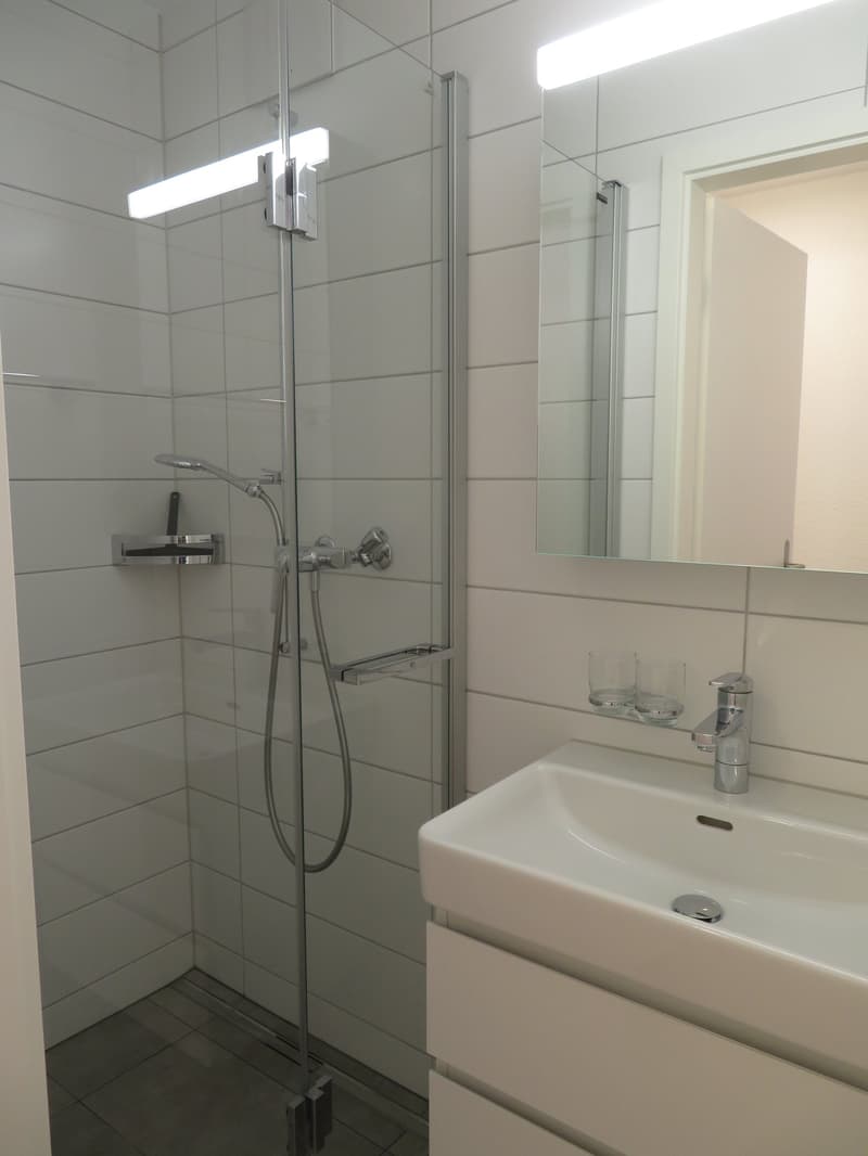 Charmant appartement 4.5 pièces à louer (12)