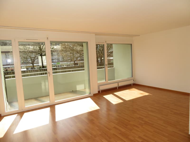 Charmant appartement 4.5 pièces à louer (2)