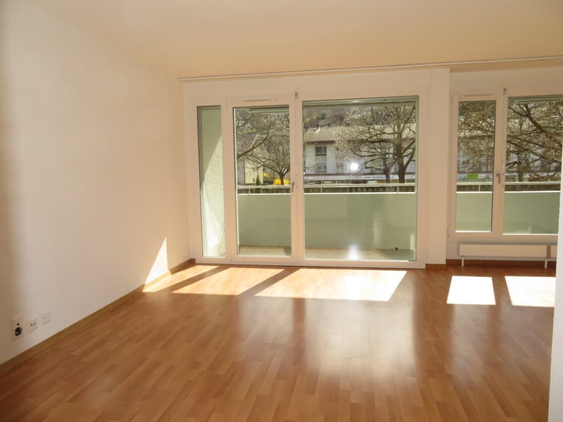 Charmant appartement 4.5 pièces à louer (1)