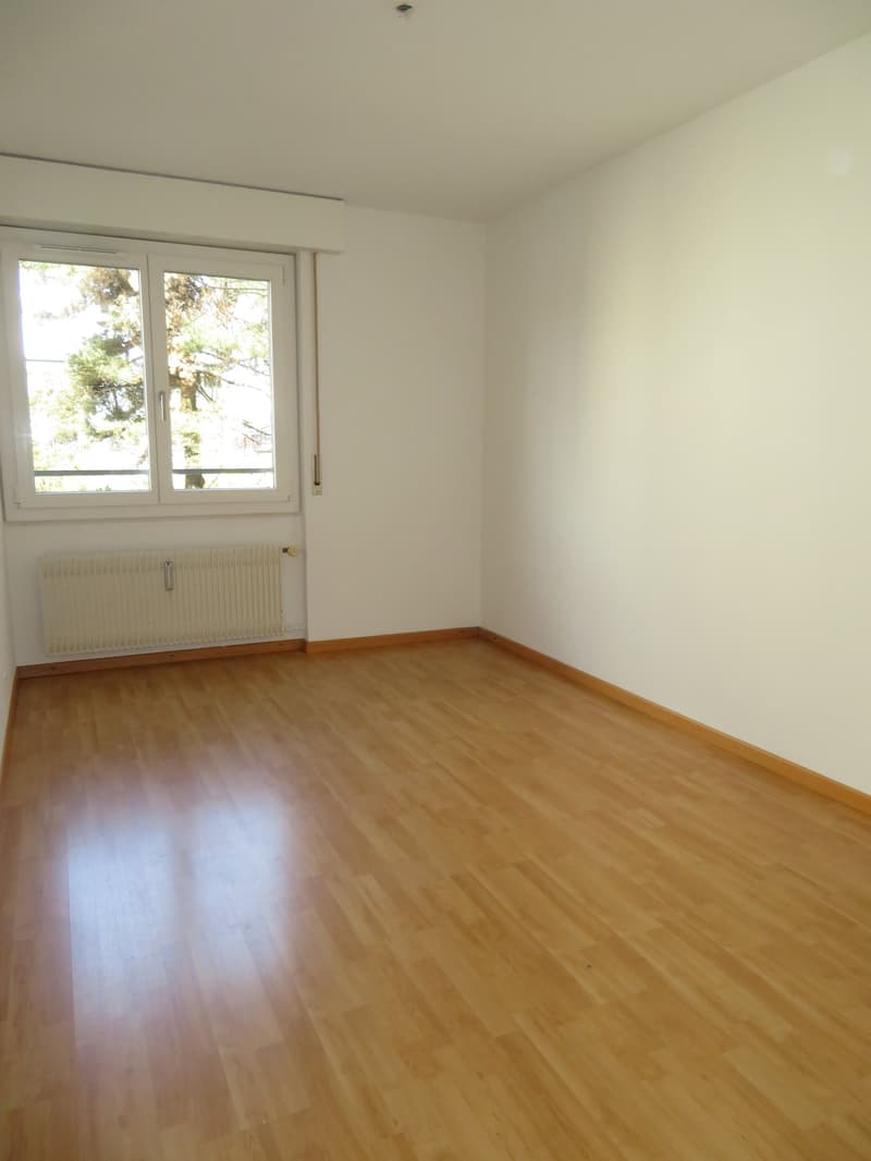 Charmant appartement 4.5 pièces à louer (6)