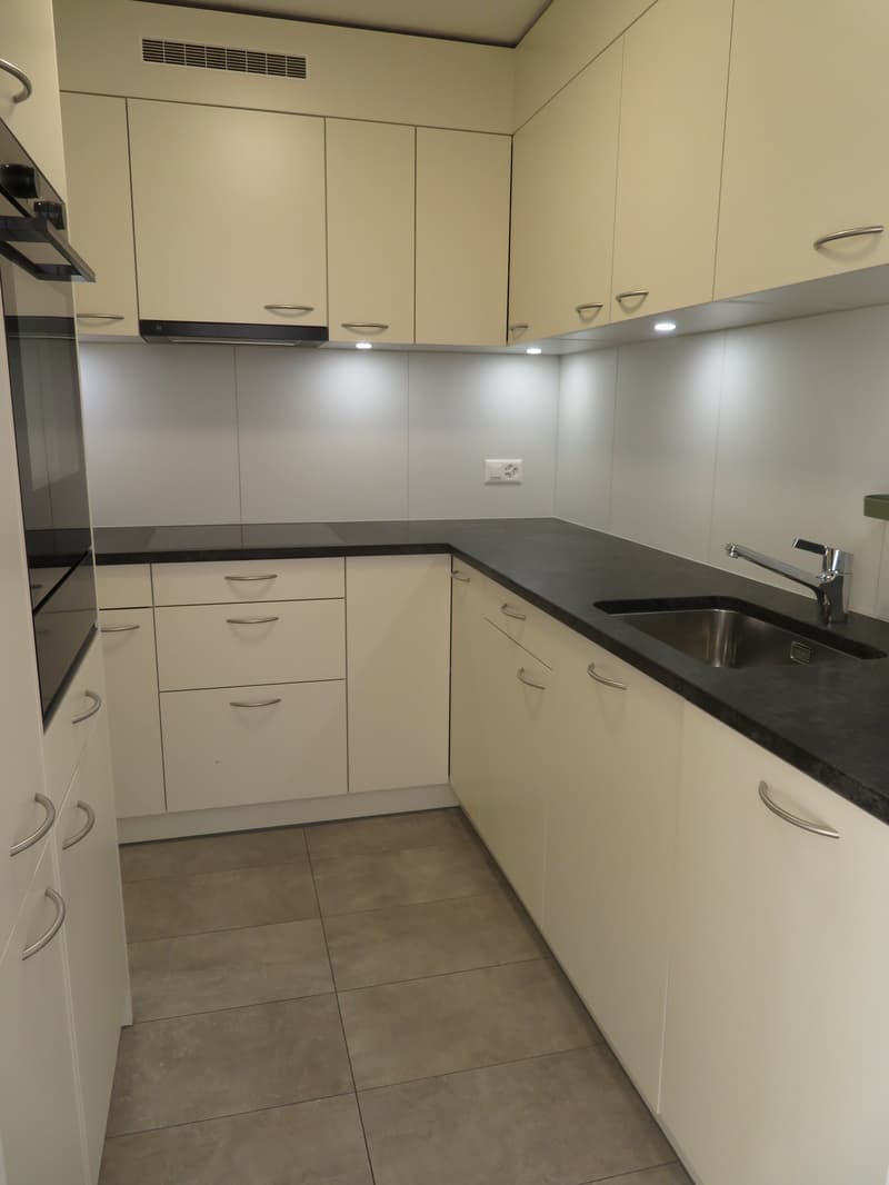 Charmant appartement 4.5 pièces à louer (9)