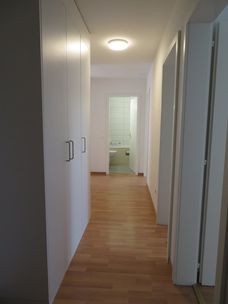 Charmant appartement 4.5 pièces à louer (7)