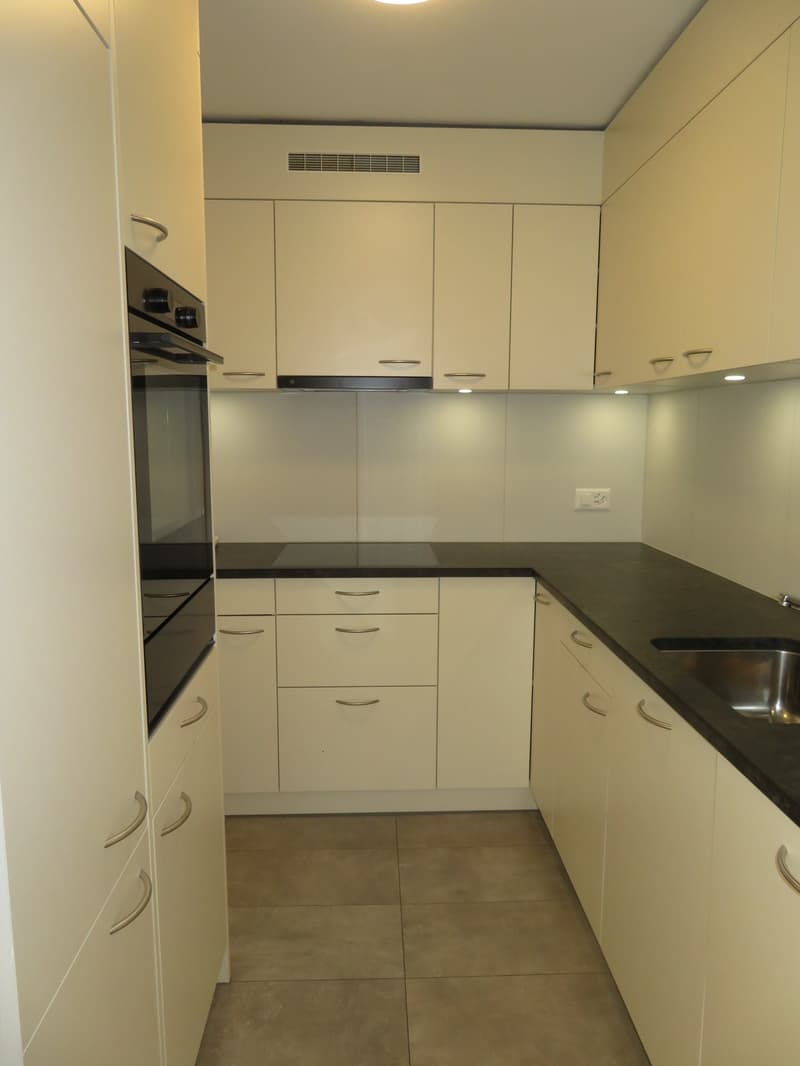 Charmant appartement 4.5 pièces à louer (8)