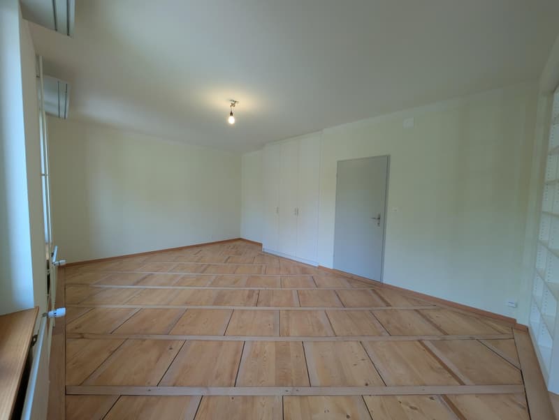 Grosszügige und frisch sanierte Wohnung zu vermieten (12)