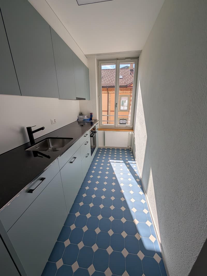 Grosszügige und frisch sanierte Wohnung zu vermieten (22)