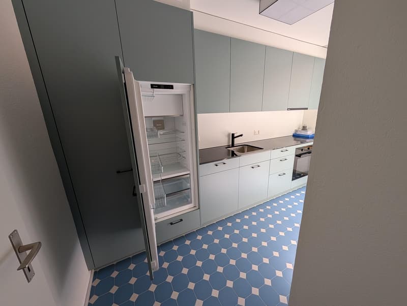 Grosszügige und frisch sanierte Wohnung zu vermieten (26)