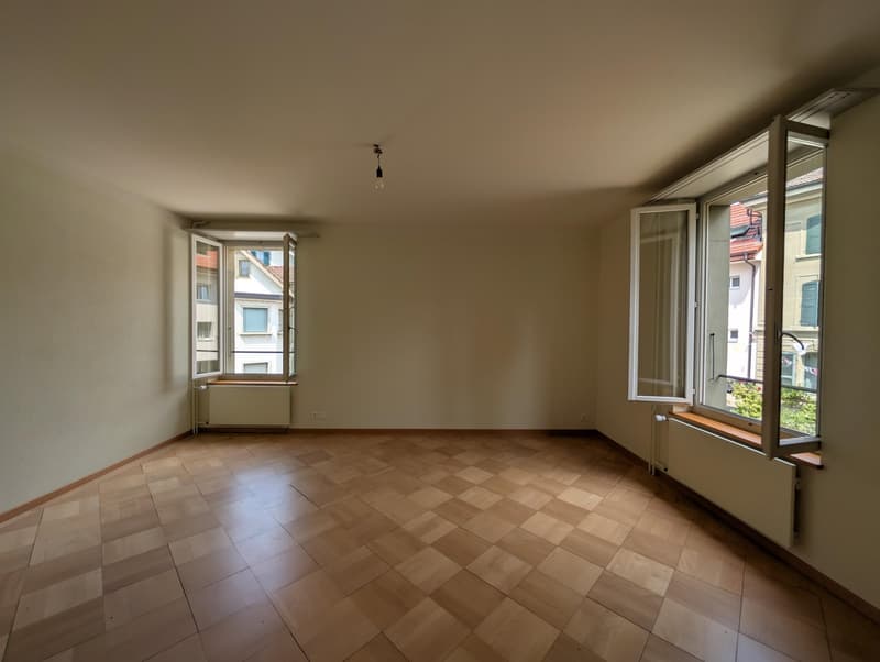 Grosszügige und frisch sanierte Wohnung zu vermieten (13)