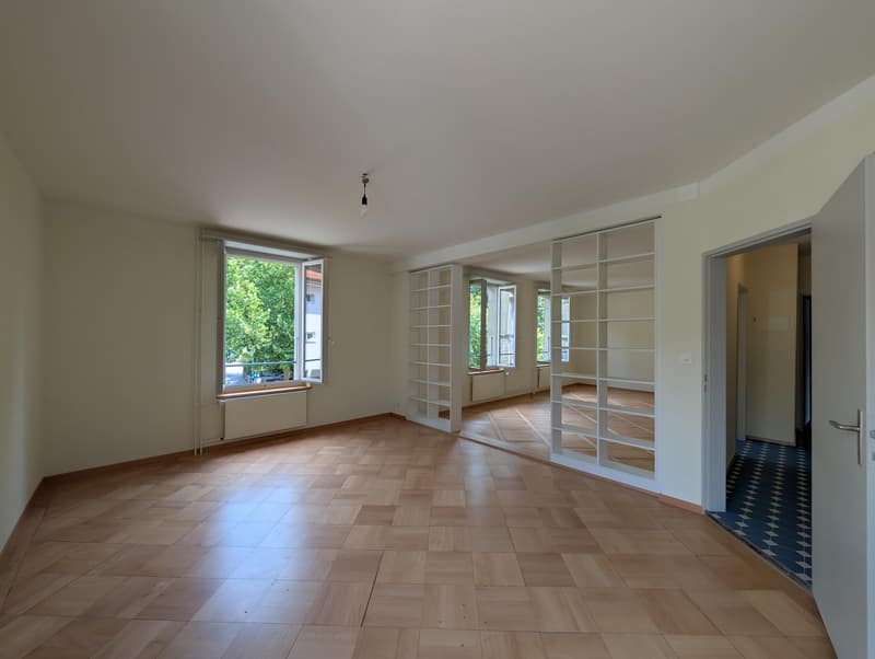 Grosszügige und frisch sanierte Wohnung zu vermieten (3)