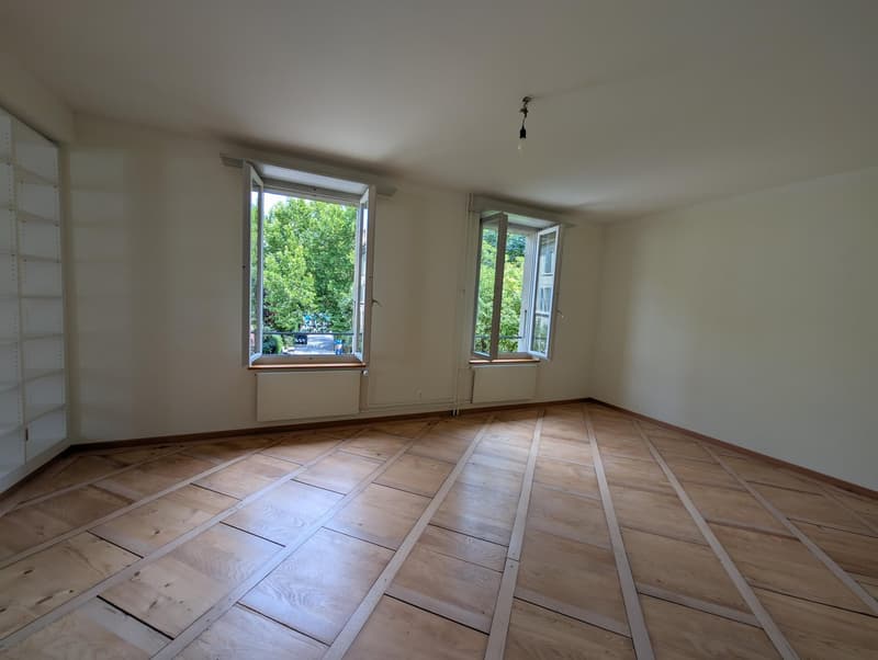 Grosszügige und frisch sanierte Wohnung zu vermieten (10)