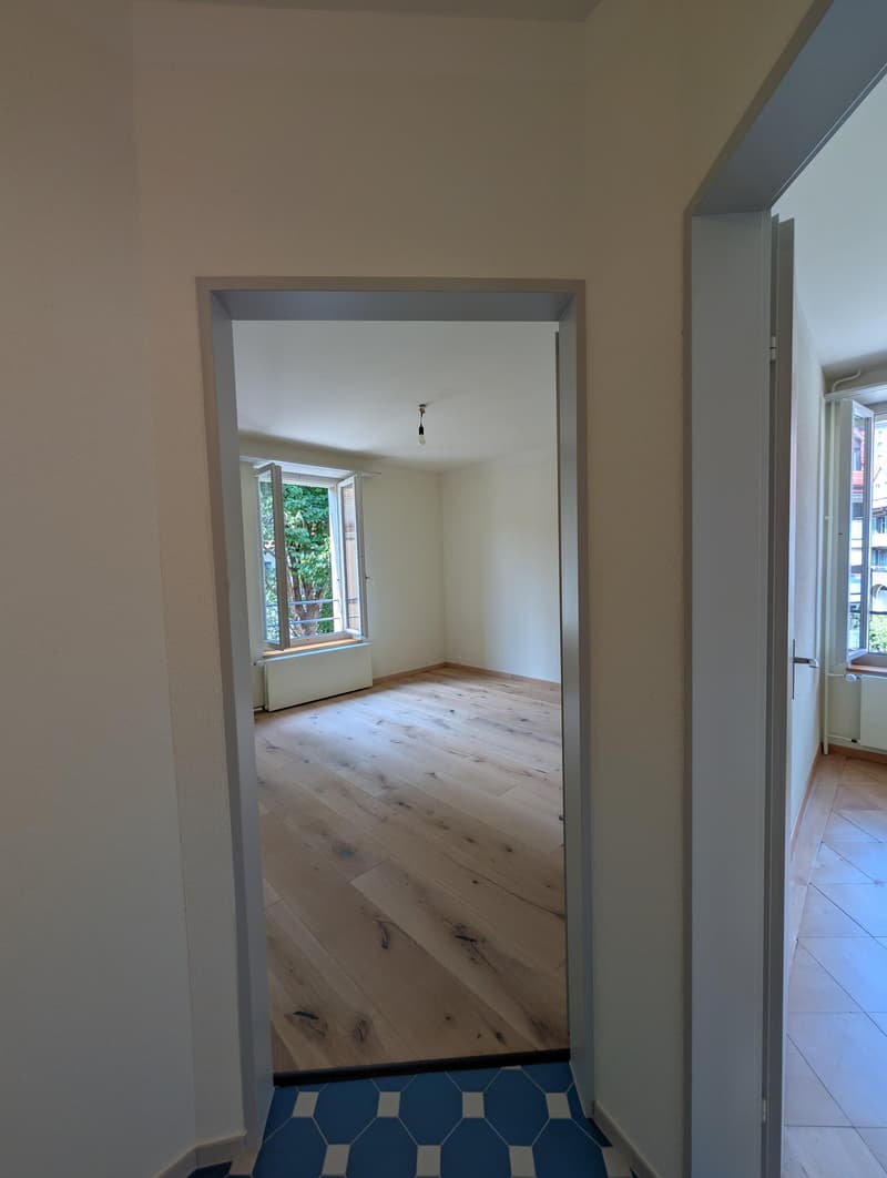 Grosszügige und frisch sanierte Wohnung zu vermieten (17)
