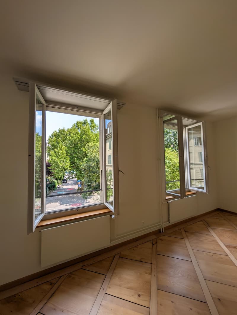 Grosszügige und frisch sanierte Wohnung zu vermieten (11)