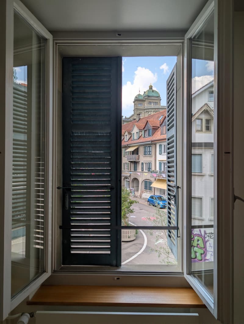 Grosszügige und frisch sanierte Wohnung zu vermieten (15)