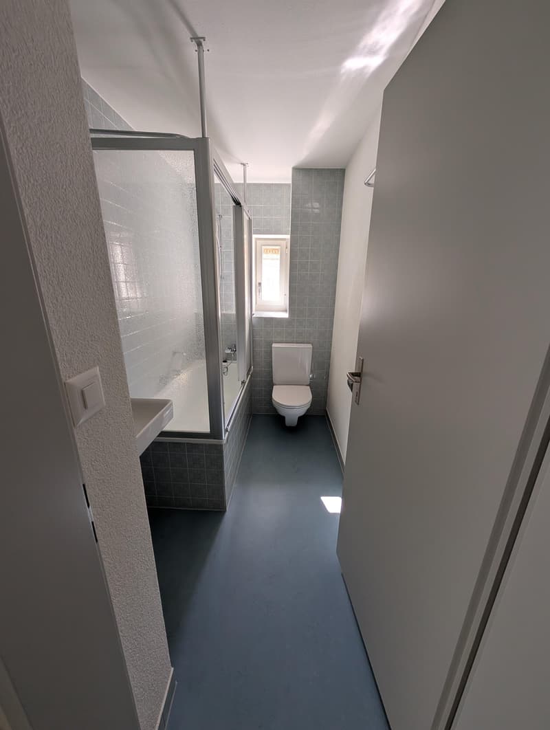 Grosszügige und frisch sanierte Wohnung zu vermieten (27)