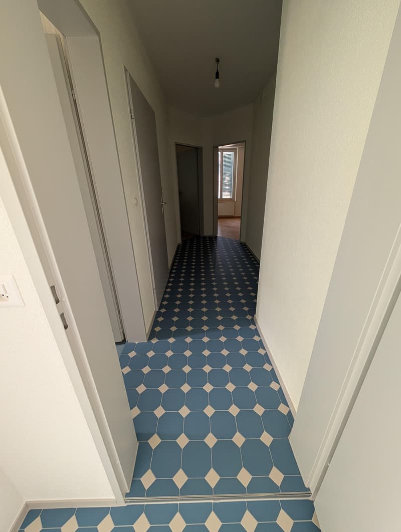 Grosszügige und frisch sanierte Wohnung zu vermieten (30)
