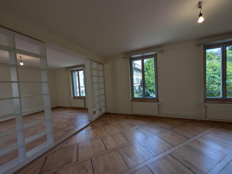 Grosszügige und frisch sanierte Wohnung zu vermieten (6)