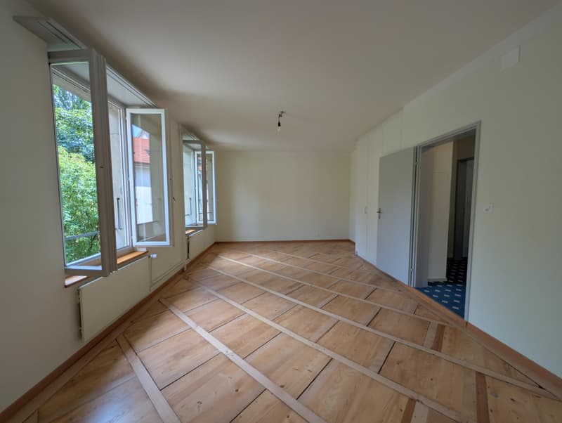 Grosszügige und frisch sanierte Wohnung zu vermieten (9)