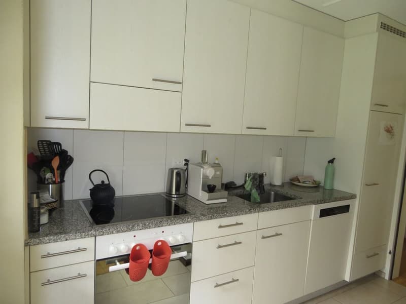 Bright 2-room apartment with garden seating in Weissenbühl (2)