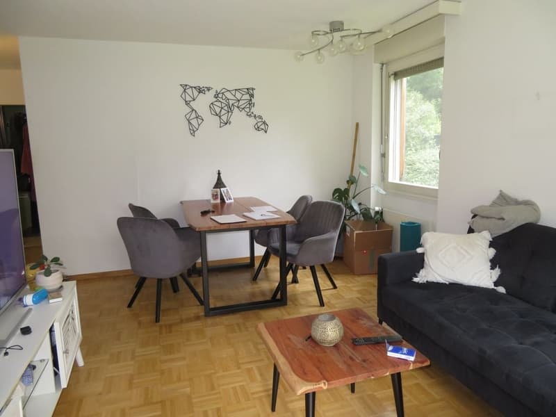 Bright 2-room apartment with garden seating in Weissenbühl (5)