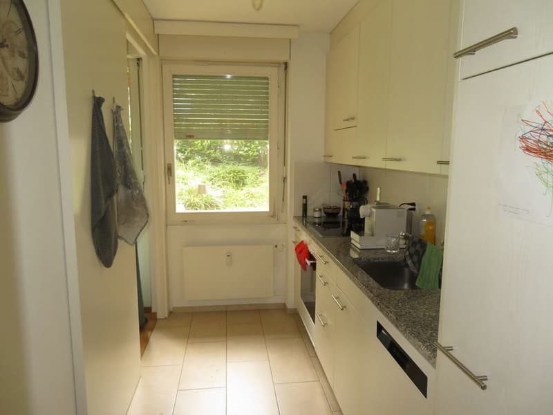 Bright 2-room apartment with garden seating in Weissenbühl (3)