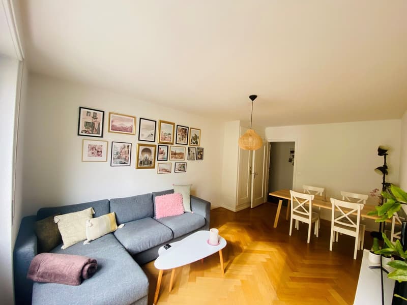 Appartamento moderno di 3 camere a Breitenrain (1)