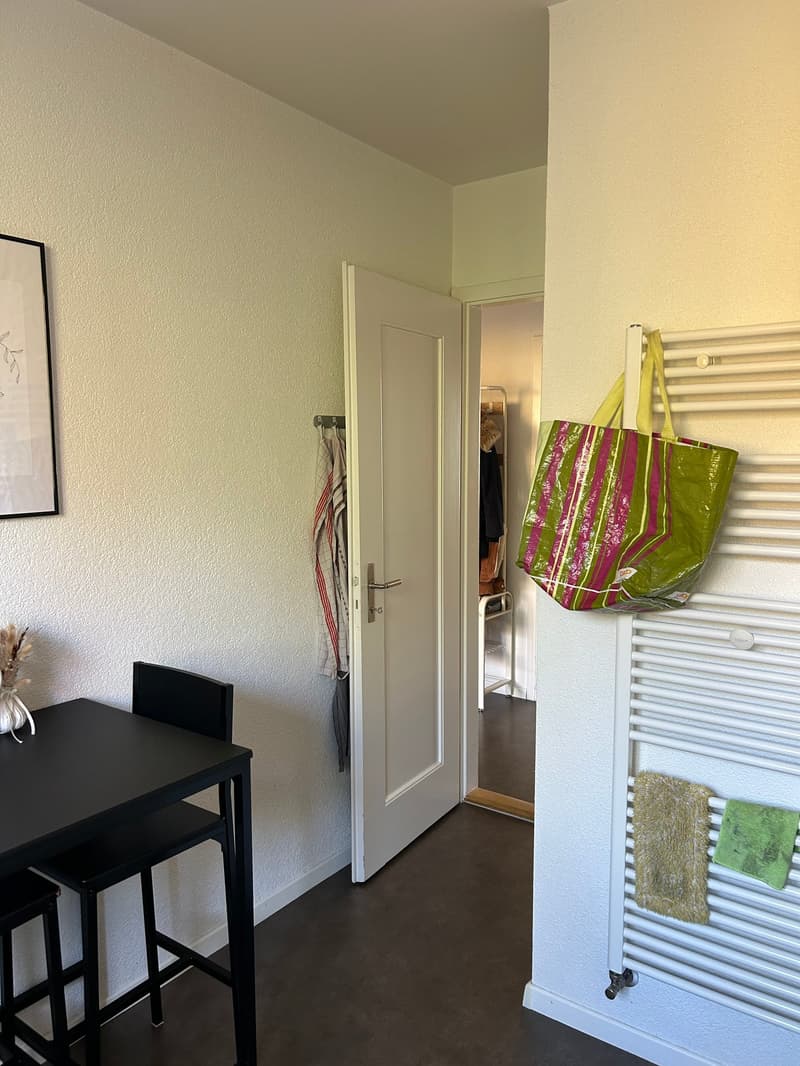 Appartamento moderno di 3 camere a Breitenrain (8)