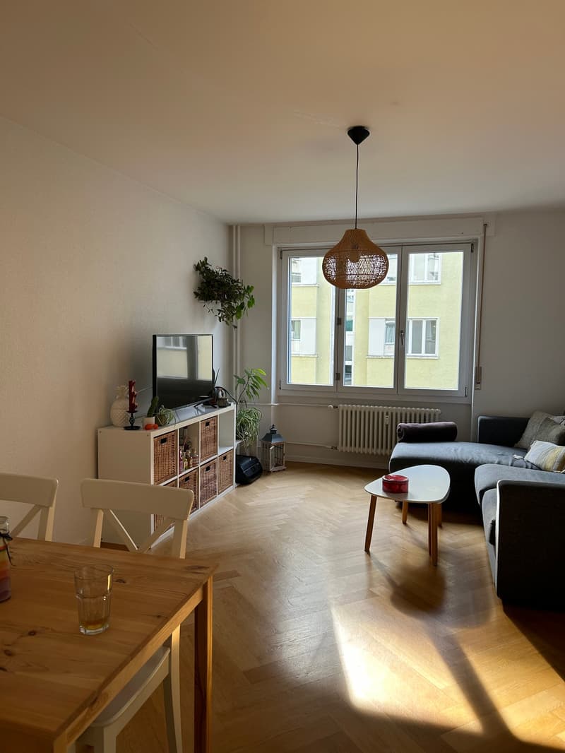 Appartamento moderno di 3 camere a Breitenrain (3)