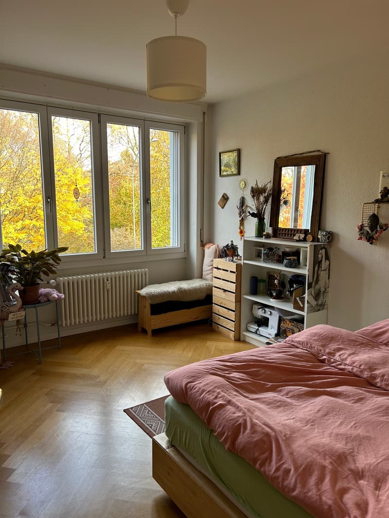 Appartamento moderno di 3 camere a Breitenrain (5)