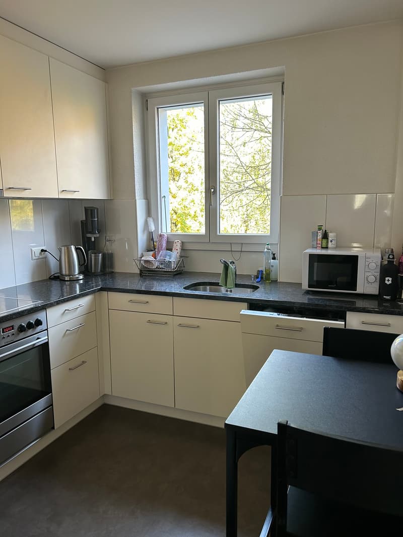 Appartamento moderno di 3 camere a Breitenrain (7)