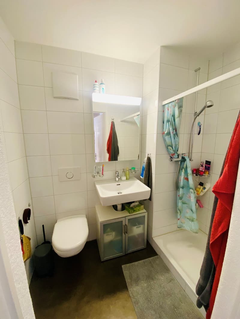 Appartamento moderno di 3 camere a Breitenrain (9)