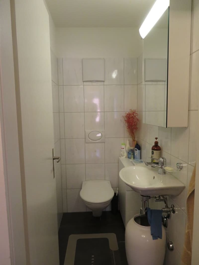 Dream Home in Muri near Bern (9)