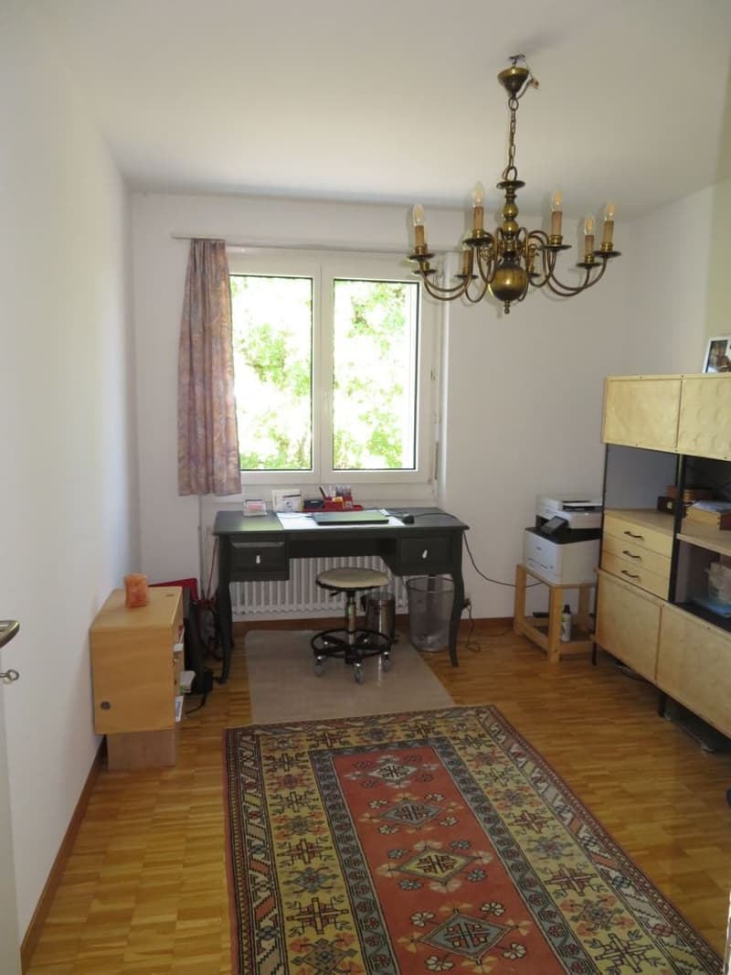 Dream Home in Muri near Bern (7)