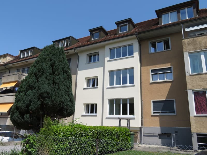Appartement de 2 pièces fraîchement rénové à proximité de la gare de Papiermühle (1)