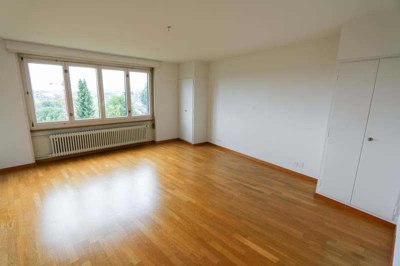 Appartamento 3 locali con balcone e camino a Berna (11)