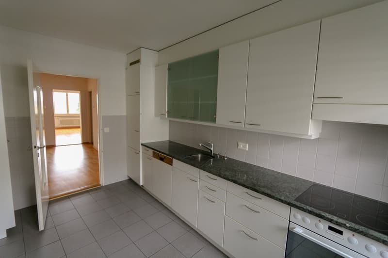 Appartamento 3 locali con balcone e camino a Berna (4)