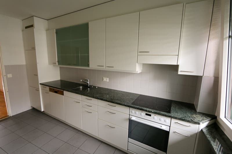 Appartamento 3 locali con balcone e camino a Berna (3)