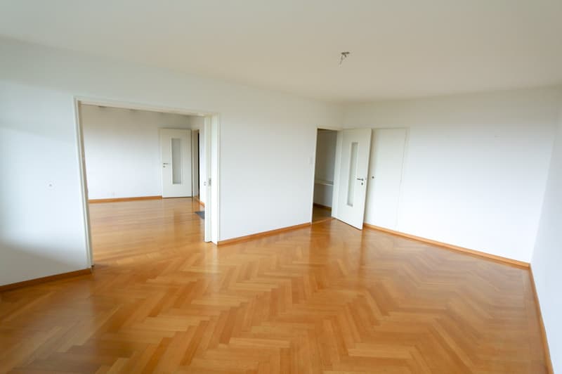 Appartamento 3 locali con balcone e camino a Berna (9)