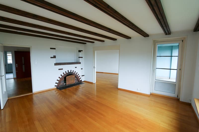 Appartamento 3 locali con balcone e camino a Berna (8)